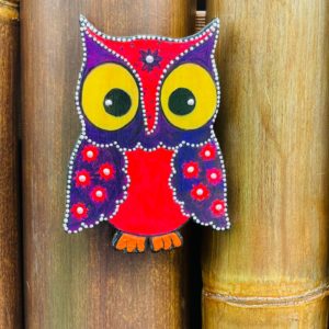 OWL Magnet1